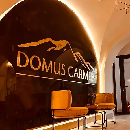Domus Carmeli Chic Appartments Powisle Botel