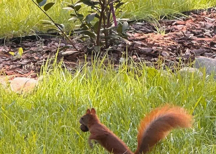 Domus Carmeli Chic Appartments Powiśle * Warszawa